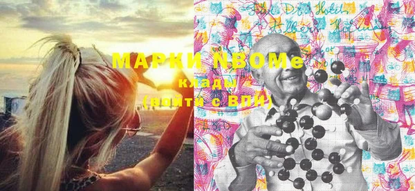 гидра Дмитров