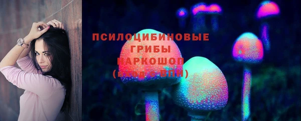 гидра Дмитров