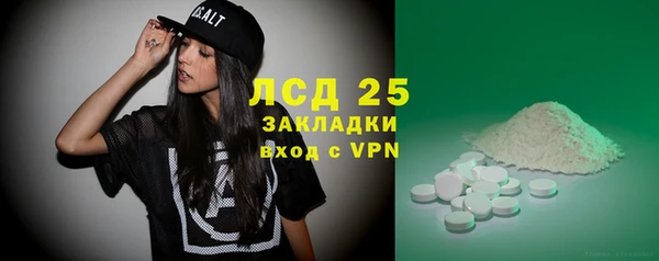 гидра Дмитров