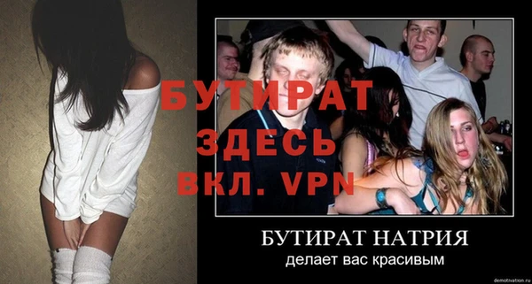 сатива Дмитриев