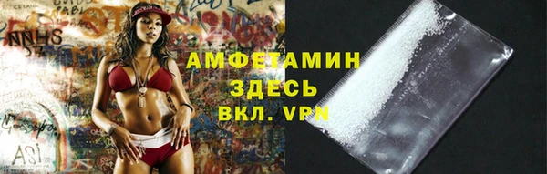 сатива Дмитриев