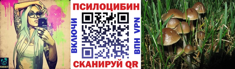Галлюциногенные грибы ЛСД Магнитогорск